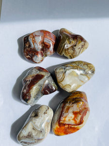 Laguna Lace Agate Tumbled Stones (XL) TB081 x 1