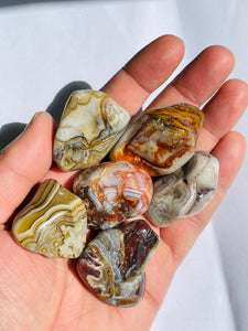 Laguna Lace Agate Tumbled Stones (XL) TB081 x 1