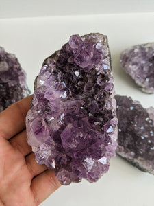 Amethyst Cluster A502 x 1 (L)