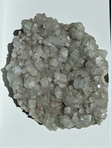 Apophyllite Crystal Cluster AP198