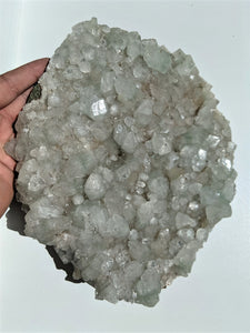 Apophyllite Crystal Cluster AP198