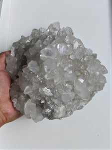 Apophyllite Crystal Cluster AP234