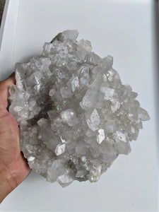 Apophyllite Crystal Cluster AP234