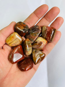 Petrified Wood  'Arizona' Tumbled Stones TB060 x 1