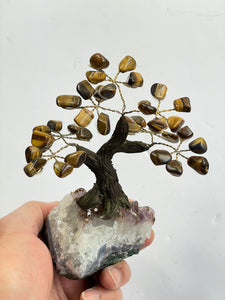 Tiger Eye Gem Tree (S) TR048