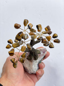 Tiger Eye Gem Tree (S) TR048