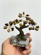 Load image into Gallery viewer, Tiger Eye Gem Tree (S) TR049
