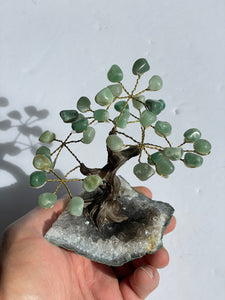 Amazonite Gem Tree (S) TR046