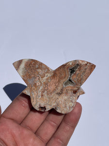 Pink Crazy Lace Agate Butterfly AG163