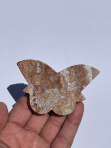 Pink Crazy Lace Agate Butterfly AG163