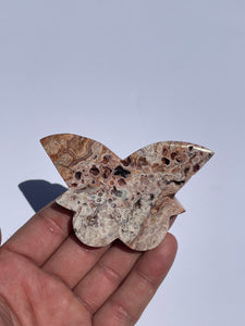 Pink Crazy Lace Agate Butterfly AG166