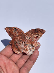 Pink Crazy Lace Agate Butterfly AG166