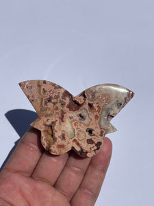 Pink Crazy Lace Agate Butterfly AG158