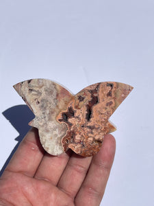 Pink Crazy Lace Agate Butterfly AG158