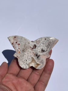 Pink Crazy Lace Agate Butterfly AG161