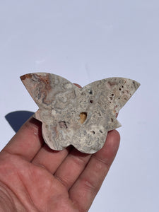 Pink Crazy Lace Agate Butterfly AG161