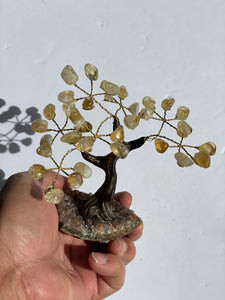 Citrine Gem Tree (S) TR041