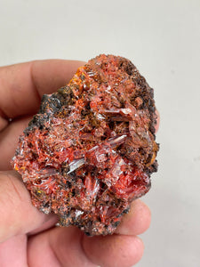 Crocoite Natural Cluster, Tasmania CR046