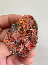 Load image into Gallery viewer, Crocoite Natural Cluster, Tasmania CR046
