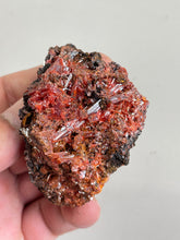 Load image into Gallery viewer, Crocoite Natural Cluster, Tasmania CR046
