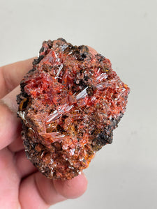 Crocoite Natural Cluster, Tasmania CR046