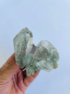 Phantom Chlorite/Green Himalayan Quartz Crystal Q756