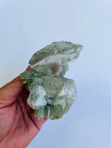 Phantom Chlorite/Green Himalayan Quartz Crystal Q756