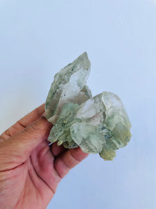 Phantom Chlorite/Green Himalayan Quartz Crystal Q756