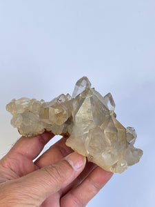 Cathedral Smokey Himalayan Natural Quartz Cluster Q254