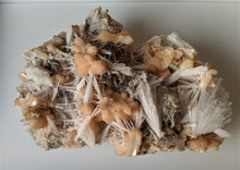 Load image into Gallery viewer, Scolecite spray with stilbite Rare Crystal/Mineral Specimen (290x210mm) 2.95kg - Crystal King Australia
