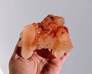 Red-Orange Stilbite Natural Crystal/Mineral 120x115mm - Crystal King Australia