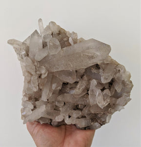 Large Smokey Quartz Cluster Natural Himalayan Crystal (210x160mm) 1.9kg - Crystal King Australia