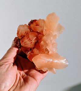 Red-Orange Stilbite Natural Crystal/Mineral 120x115mm - Crystal King Australia