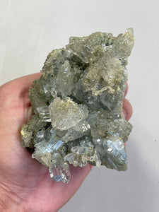 Green Himalayan Chlorite Inclusion Quartz Crystal Q021a