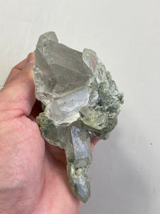 Green Himalayan Chlorite Inclusion Quartz Crystal Q022a