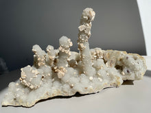 Load image into Gallery viewer, XL Coral Quartz Stalactite Quartz Clusters Q987
