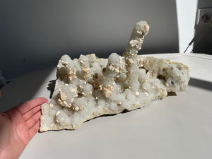 XL Coral Quartz Stalactite Quartz Clusters Q987