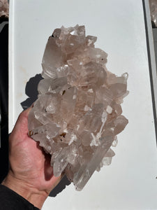 Large Pink Himalayan/Samadhi Quartz Q561