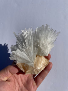 Scolecite Spray Natural Crystal cluster SC066