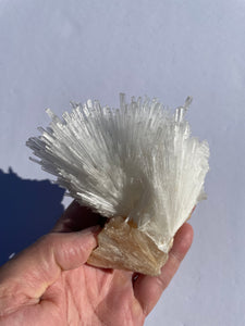 Scolecite Spray Natural Crystal cluster SC066