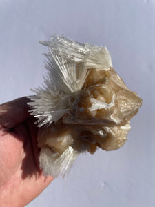 Scolecite Spray Natural Crystal Cluster SC068