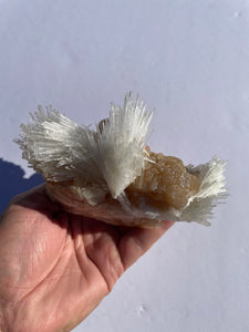 Scolecite Spray Natural Crystal Cluster SC068