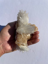 Load image into Gallery viewer, Scolecite Spray Natural Crystal Cluster SC068
