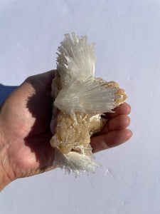 Scolecite Spray Natural Crystal Cluster SC068