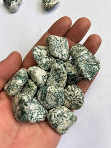 Tree Agate Tumbled Stones TB073 x 1