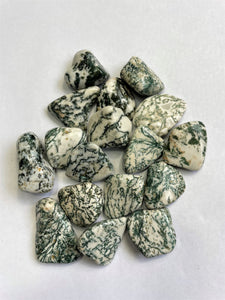 Tree Agate Tumbled Stones TB073 x 1